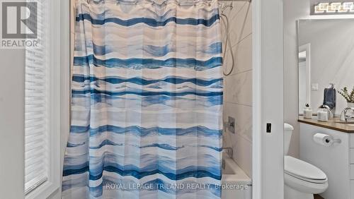 8443 Goosemarsh Line, Lambton Shores, ON - Indoor Photo Showing Bathroom