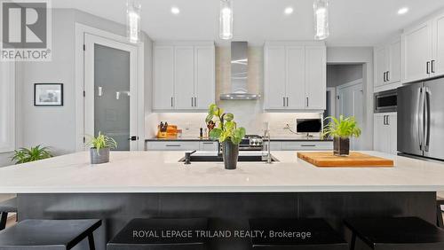 8443 Goosemarsh Line, Lambton Shores, ON - Indoor Photo Showing Kitchen With Upgraded Kitchen