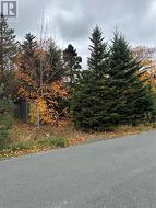 32C Cluneys Road  Conception Bay South, NL A1X 7K8