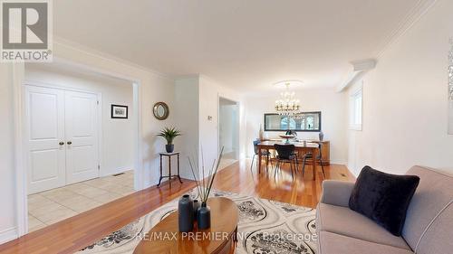 87 Aviemore Drive, Toronto, ON - Indoor Photo Showing Living Room