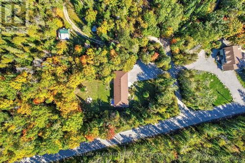 5 Fire Route 46, Trent Lakes, ON - Outdoor With View