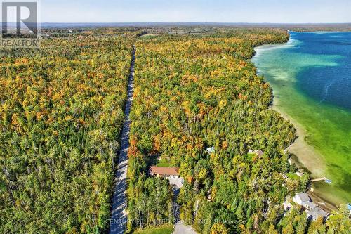 5 Fire Route 46, Trent Lakes, ON - Outdoor With View