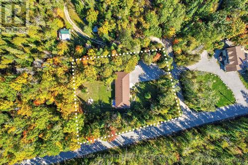 5 Fire Route 46, Trent Lakes, ON - Outdoor With View
