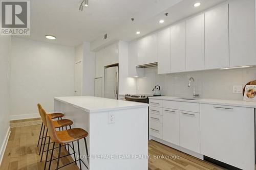 309 - 108 Richmond Road, Ottawa, ON - Indoor Photo Showing Kitchen With Upgraded Kitchen