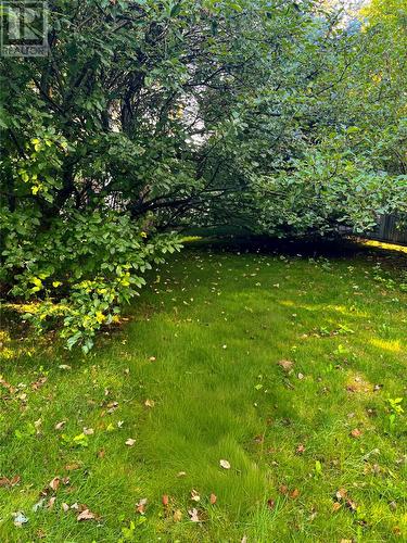 23 Crocker Place, Mount Pearl, NL - Outdoor
