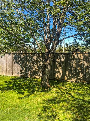 23 Crocker Place, Mount Pearl, NL - Outdoor