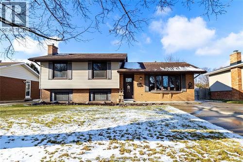 151 Baldoon Road, Chatham, ON - Outdoor