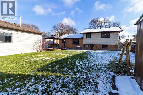 151 Baldoon Road, Chatham, ON - Outdoor