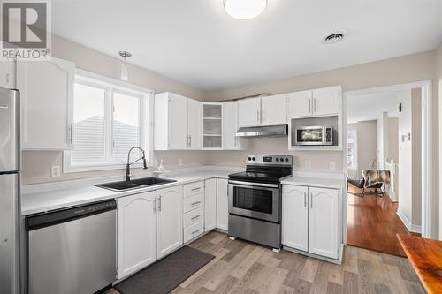 38 Greenspond Drive, St. John'S, NL - Indoor Photo Showing Kitchen With Double Sink