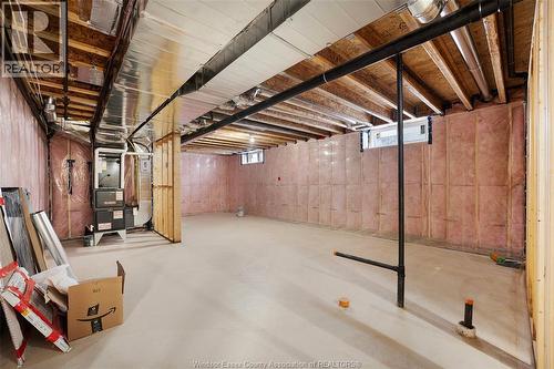 5200 Rafael, Tecumseh, ON - Indoor Photo Showing Basement