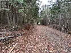 PTLT 29 CONCESSION 8  Kawartha Lakes (Verulam), ON K0M 1A0