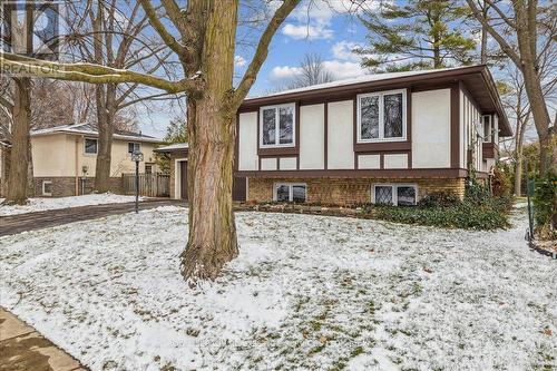 411 Brookmill Road, Oakville, ON - Outdoor