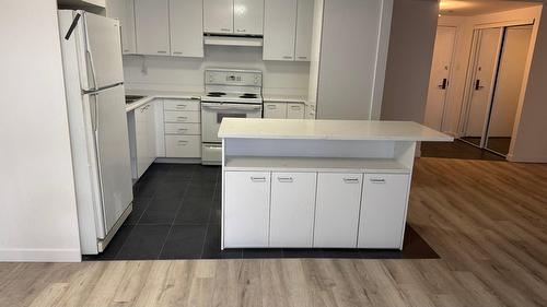 Kitchen - 310-1111 Rue Arthur-Lismer, Montréal (Ahuntsic-Cartierville), QC - Indoor Photo Showing Kitchen