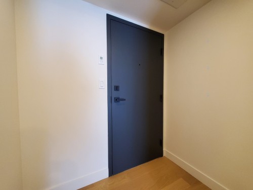 Hall d'entrée/Vestibule - 403-1 Av. Viger O., Montréal (Ville-Marie), QC - Indoor Photo Showing Other Room