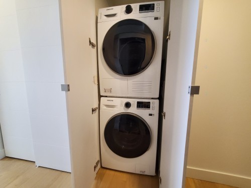 Salle de lavage - 403-1 Av. Viger O., Montréal (Ville-Marie), QC - Indoor Photo Showing Laundry Room