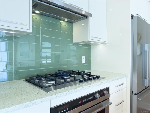 N312-1105 Pandora Ave, Victoria, BC - Indoor Photo Showing Kitchen With Upgraded Kitchen