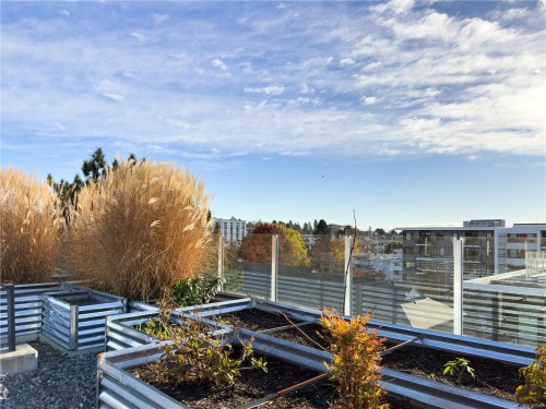 N312-1105 Pandora Ave, Victoria, BC - Outdoor With View