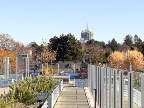 N312-1105 Pandora Ave, Victoria, BC - Outdoor