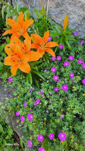 Other - 189 Boul. Des Hauteurs, Saint-Jérôme, QC - Outdoor