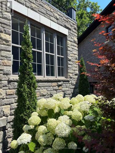 125 Paliser Court, Oakville, ON - Outdoor