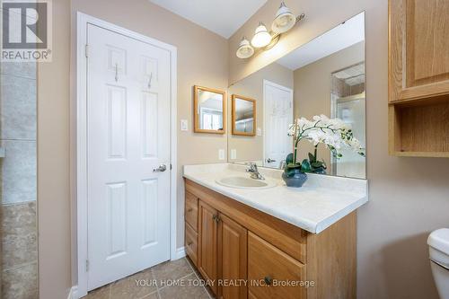 20 Jason Crescent, Halton Hills, ON - Indoor Photo Showing Bathroom