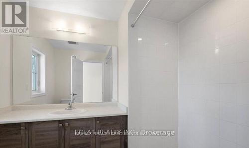233 Gillespie Drive, Brantford, ON - Indoor Photo Showing Bathroom