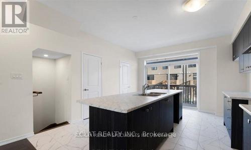 233 Gillespie Drive, Brantford, ON - Indoor Photo Showing Kitchen With Double Sink