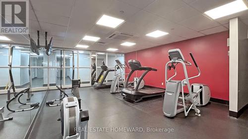 Cardio area - 1404 - 40 Homewood Avenue, Toronto, ON 