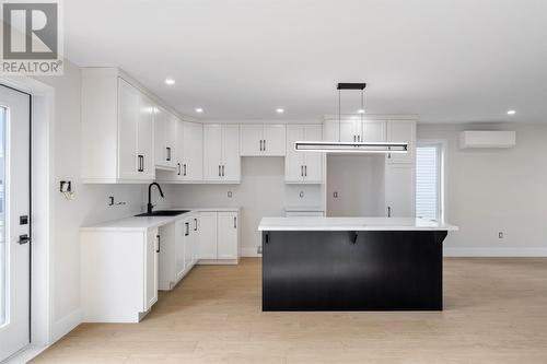 46 Sir Wilfred Grenfell Place, St. John'S, NL - Indoor Photo Showing Kitchen