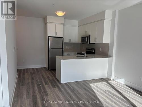 211 - 1100 Lackner Place, Kitchener, ON - Indoor Photo Showing Kitchen