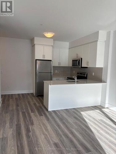 211 - 1100 Lackner Place, Kitchener, ON - Indoor Photo Showing Kitchen With Double Sink