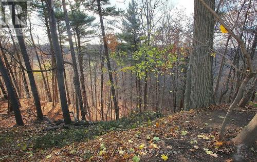 34 Gwendolen Crescent, Toronto, ON - Outdoor With View