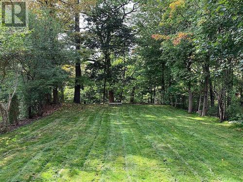 34 Gwendolen Crescent, Toronto, ON - Outdoor