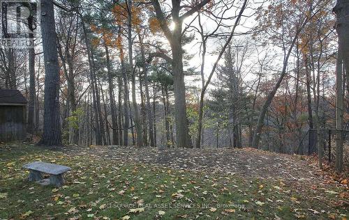 34 Gwendolen Crescent, Toronto, ON - Outdoor With View