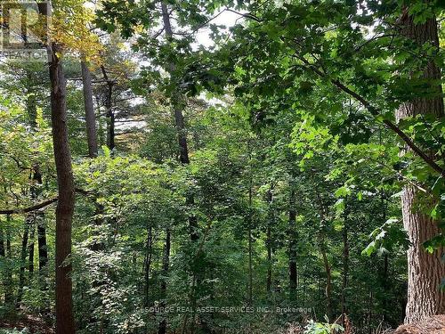 34 Gwendolen Crescent, Toronto, ON - Outdoor