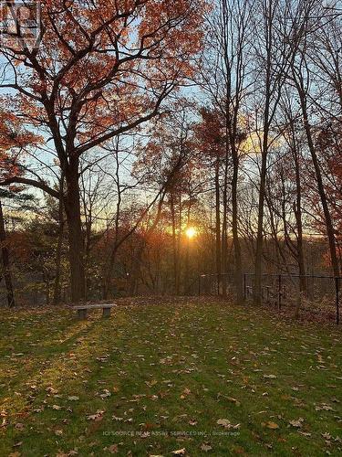 34 Gwendolen Crescent, Toronto, ON - Outdoor With View