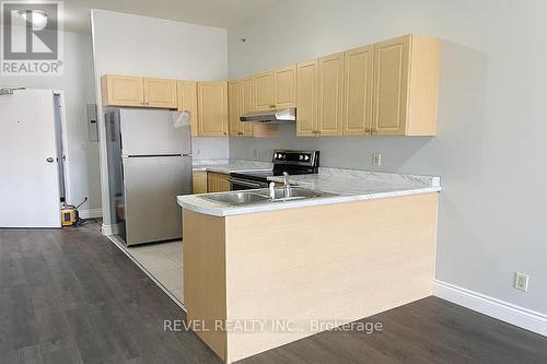 403 - 150 Colborne Street, Brantford, ON - Indoor Photo Showing Kitchen With Double Sink