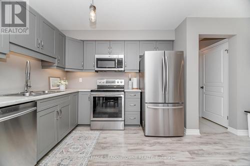 6338 Shapton Crescent, Niagara Falls, ON - Indoor Photo Showing Kitchen With Double Sink