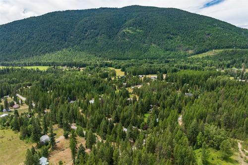 1405 Lepitzki Road, Creston, BC - Outdoor With View