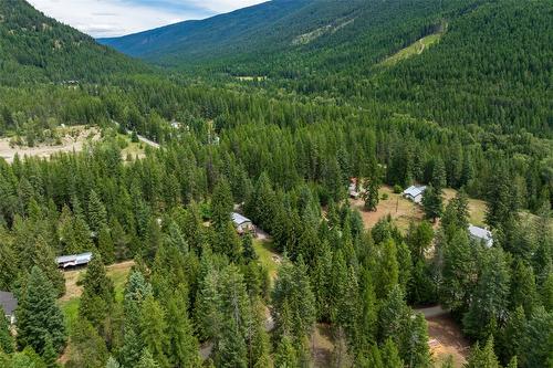 1405 Lepitzki Road, Creston, BC - Outdoor With View