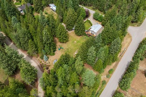 1405 Lepitzki Road, Creston, BC - Outdoor With View