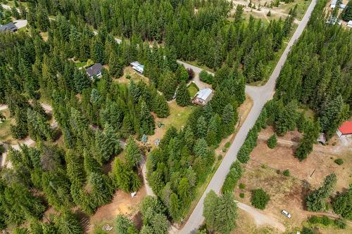 1405 Lepitzki Road, Creston, BC - Outdoor With View