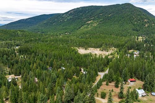 1405 Lepitzki Road, Creston, BC - Outdoor With View