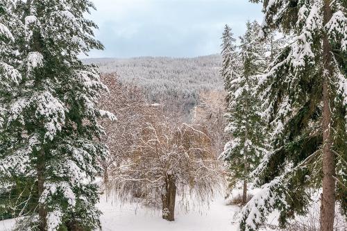 781 Gardom Lake Road, Enderby, BC - Outdoor With View