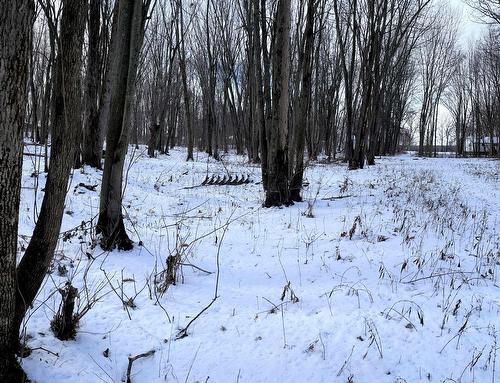 Autre - Rue Des Pionniers, Saint-André-D'Argenteuil, QC 