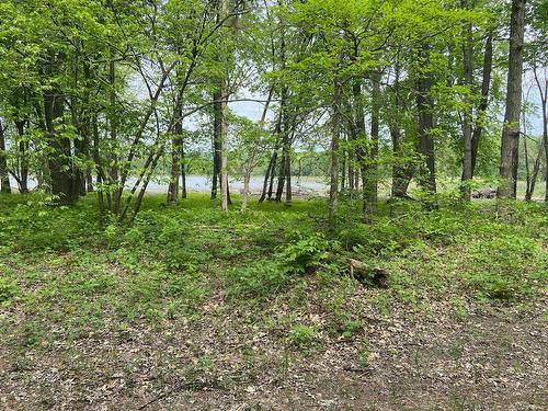 Boisé - Rue Des Pionniers, Saint-André-D'Argenteuil, QC 