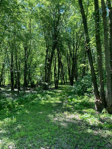 Boisé - Rue Des Pionniers, Saint-André-D'Argenteuil, QC 