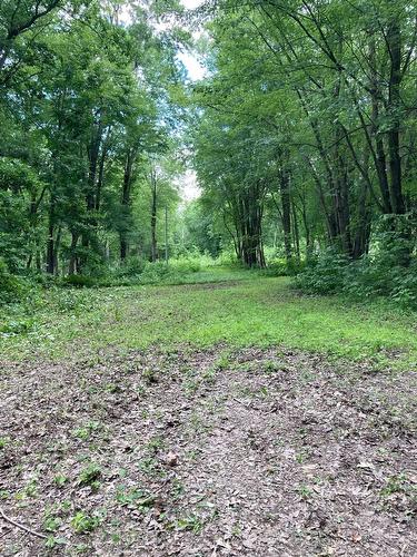 Boisé - Rue Des Pionniers, Saint-André-D'Argenteuil, QC 