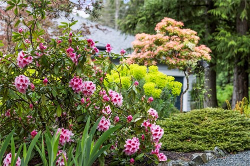 7190 Hase Pl, Lantzville, BC 