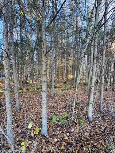 1325 Lakeshore Drive, North Bay, ON 